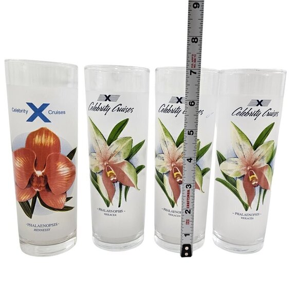 Celebrity Cruises Orchids Frosted High Ball Glasses Drink Recipe – Set of 4 - Picture 6 of 16